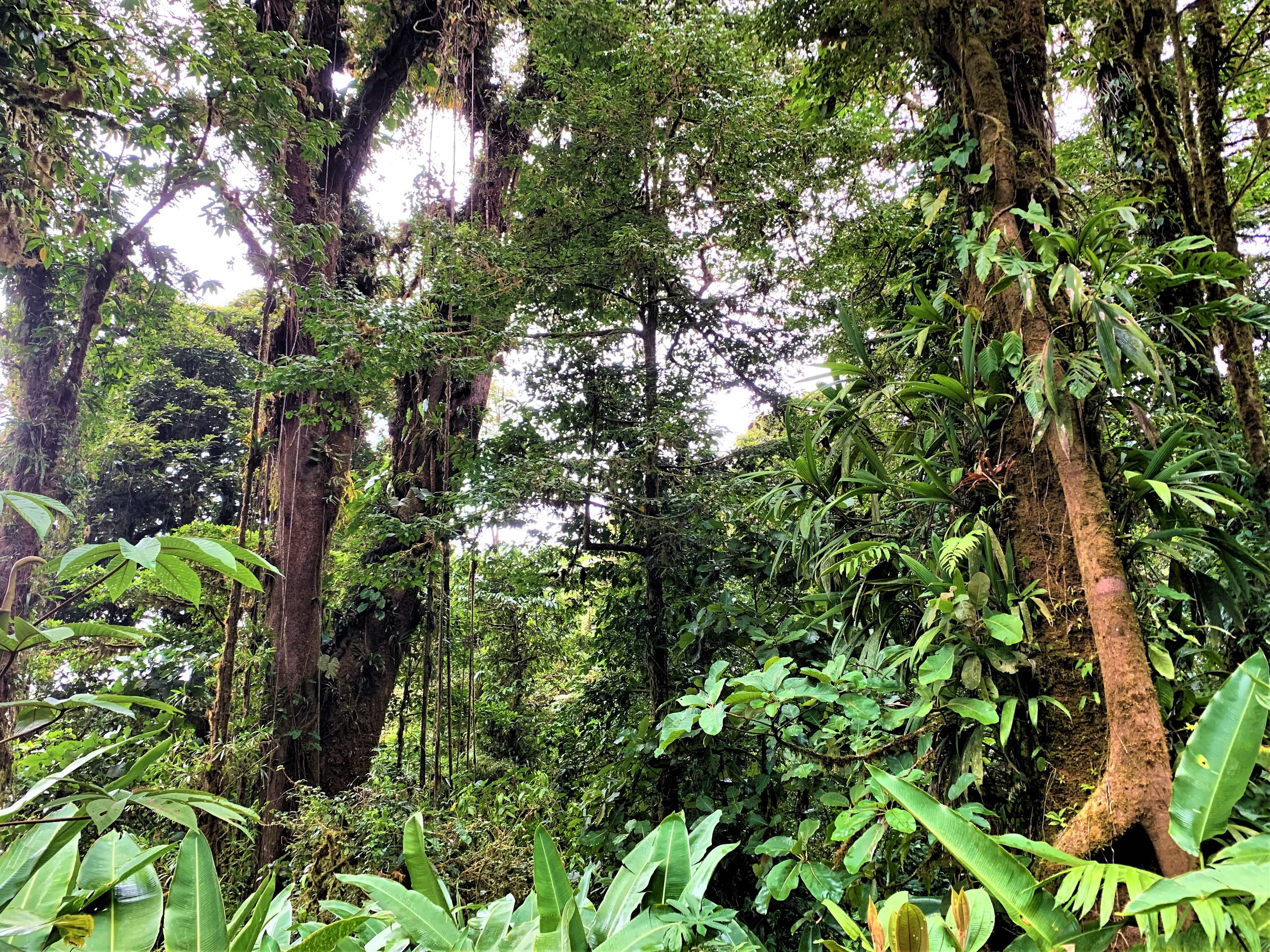 Costa Rica
